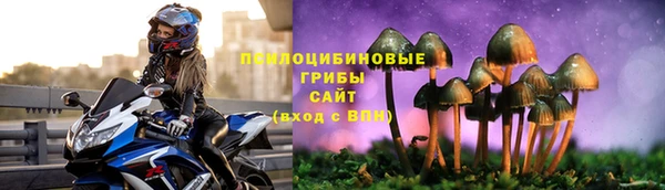прущие крисы Арсеньев