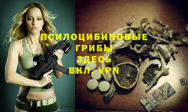 apvp Аркадак