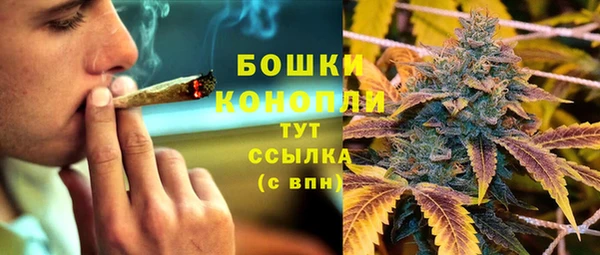 прущие крисы Арсеньев