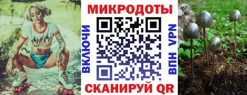 Галлюциногенные грибы GOLDEN TEACHER  Бавлы 